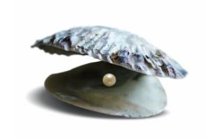 La perle: Retrouvez les beaux moments de surréalisme de nos formations